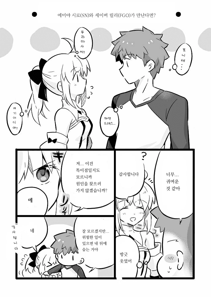 [fate]세이버 릴리를 만난 에미야 시로 만화