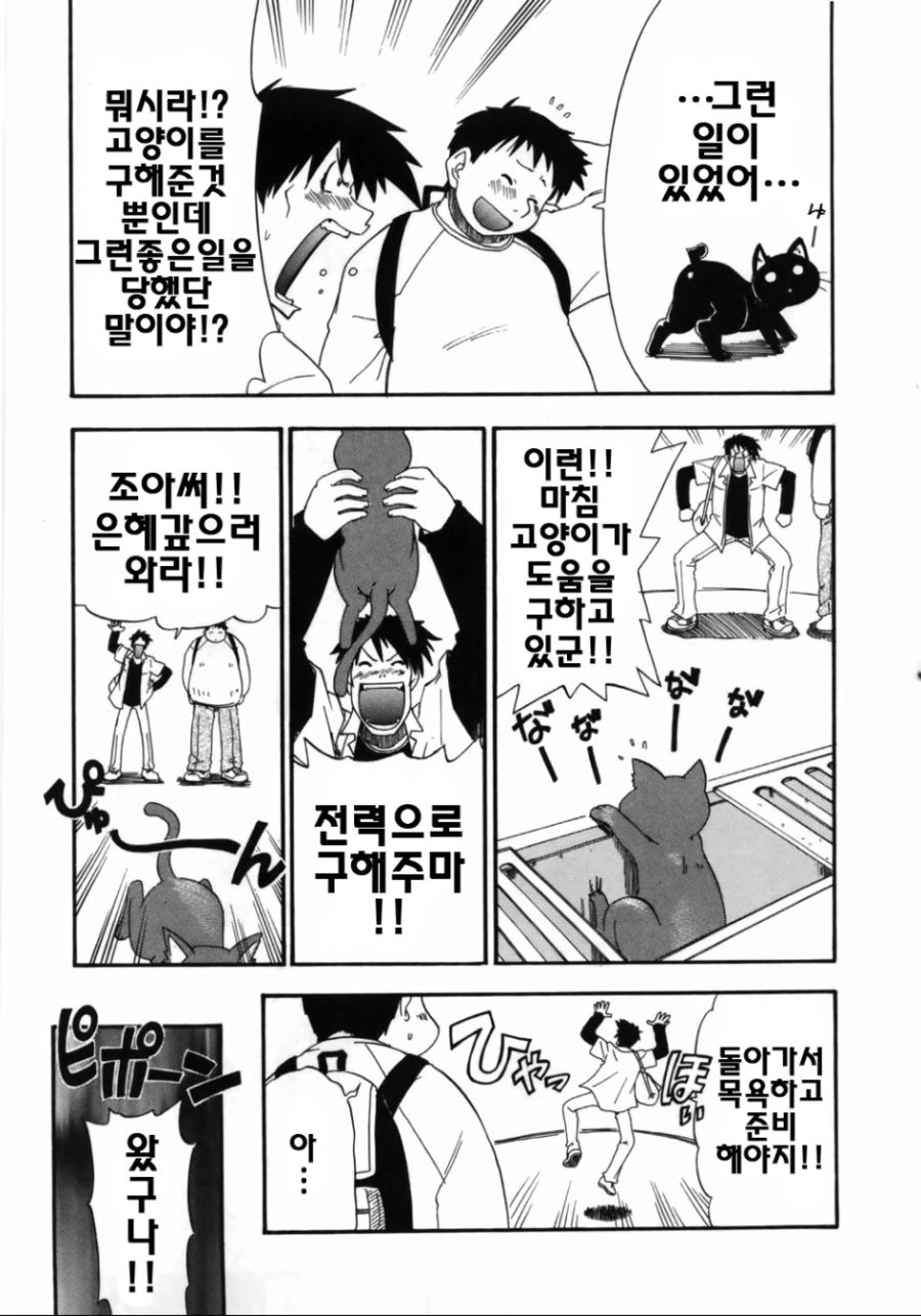 은혜갚는 고양이 만화.manhwa - 이미지 4