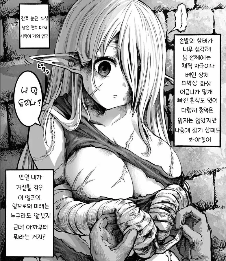ㅎㅂ)엘프를 ㄴㅇ로 사는 만화 - 이미지 5