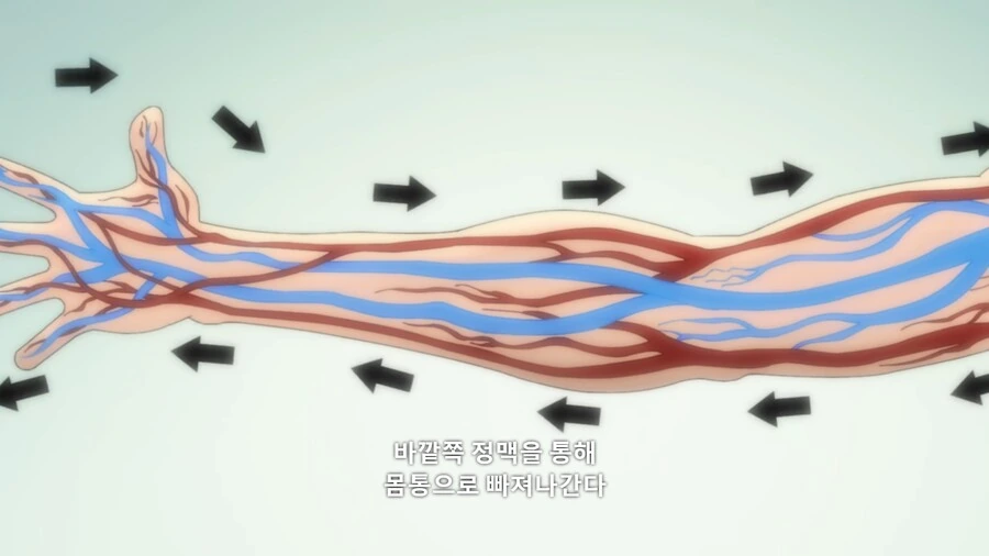 바키]은근 유익한 격투 만화 - 이미지 2
