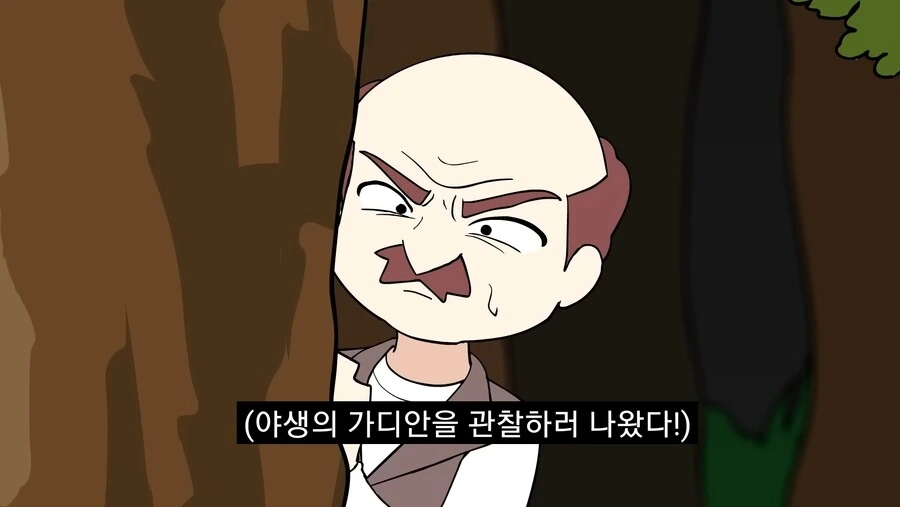 가디안을 잊지 못해 포켓몬과 결혼하게 해달라고 하는 만화 - 이미지 15