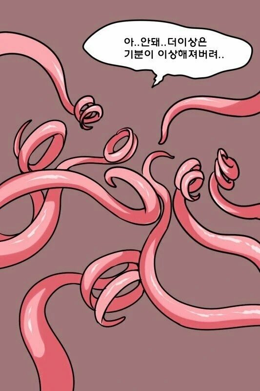 ㅎㅂ) 기사와 ㄴㅇㅊㅅ물 만화.MANHWA