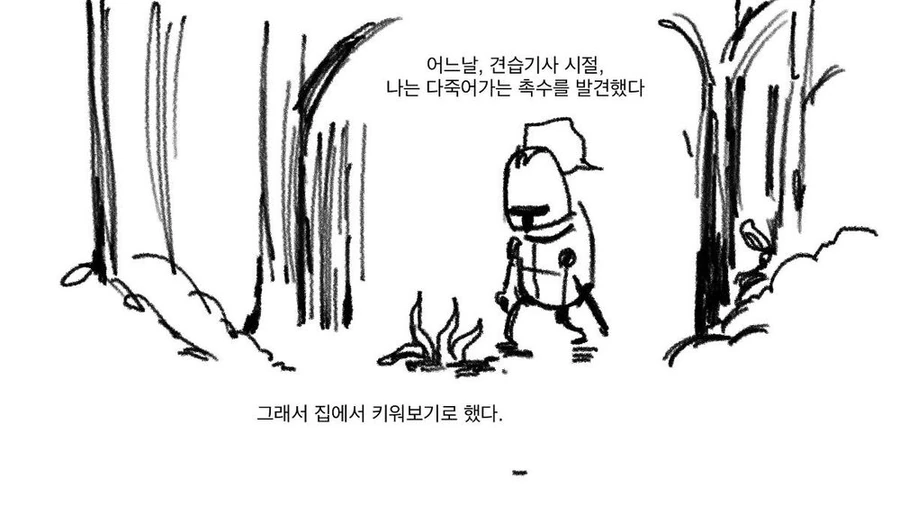 ㅎㅂ) 기사와 ㄴㅇㅊㅅ물 만화.MANHWA - 이미지 2