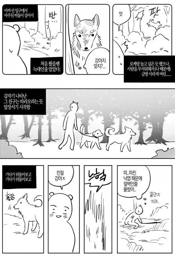산에서 길잃은 사람을 도와준 유기견.manhwa - 이미지 2