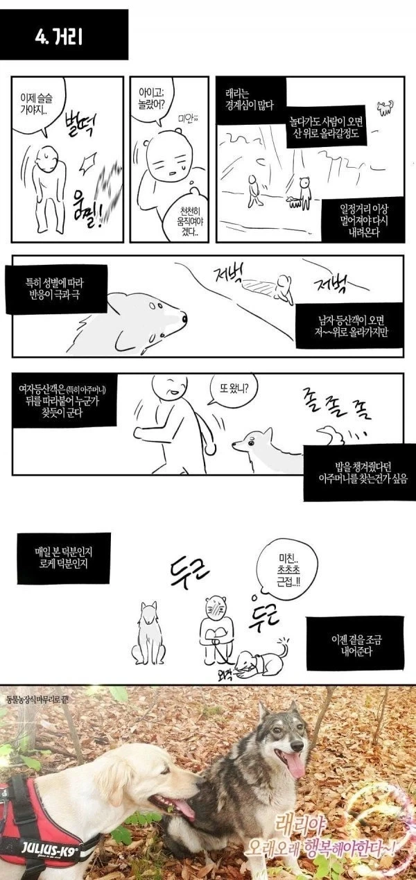 산에서 길잃은 사람을 도와준 유기견.manhwa - 이미지 8