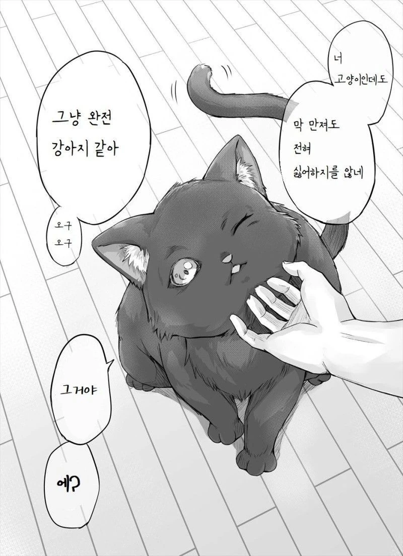 캬루 사촌하고 ㄱㅁ하는 만화.MANHWA - 이미지 3