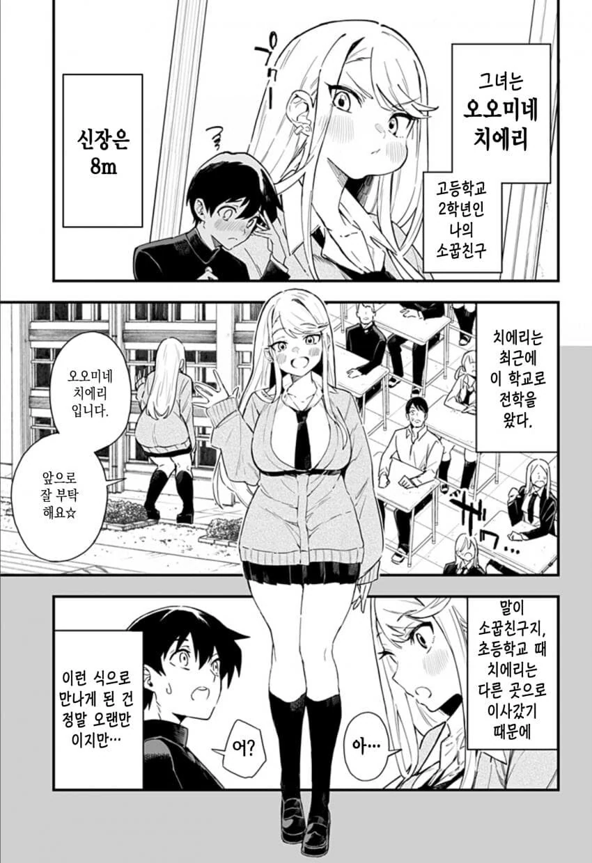 국내 정식 발매 예정인 거대소녀 순애 만화.manga - 이미지 4