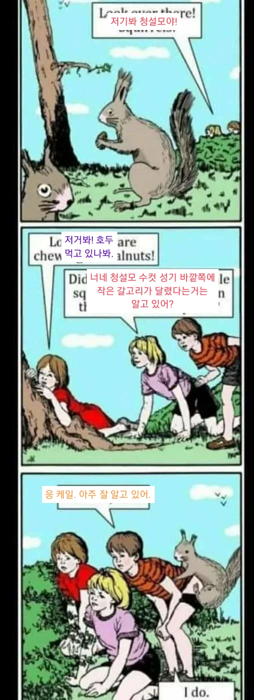 청설모 ㅈㅈ엔 가시가 돋아있다.manga