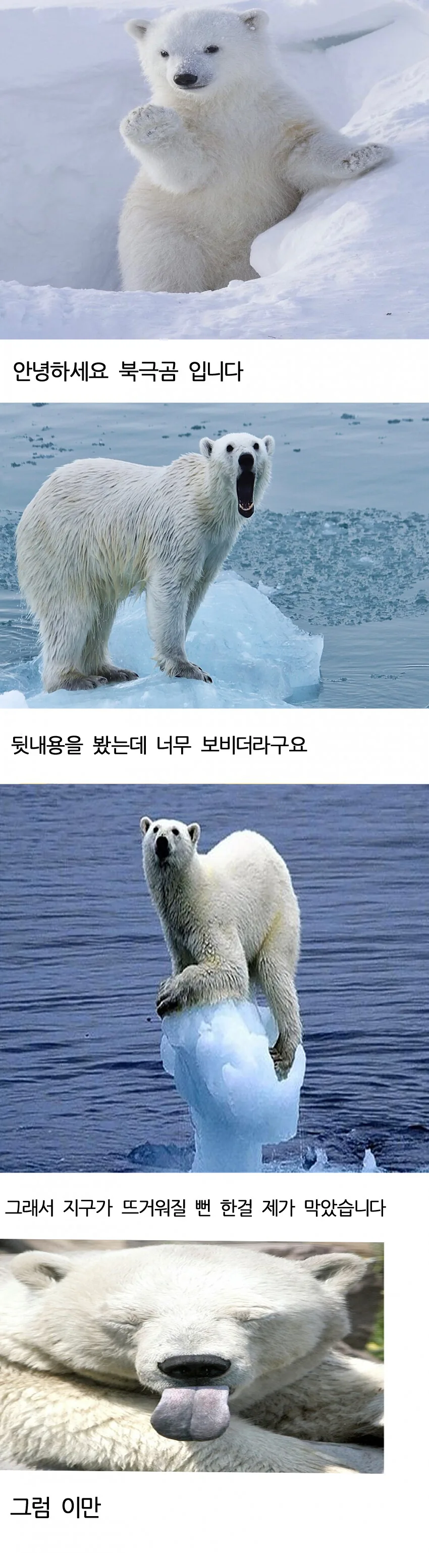 여자끼리 사귀는 만화.manhwa - 이미지 4