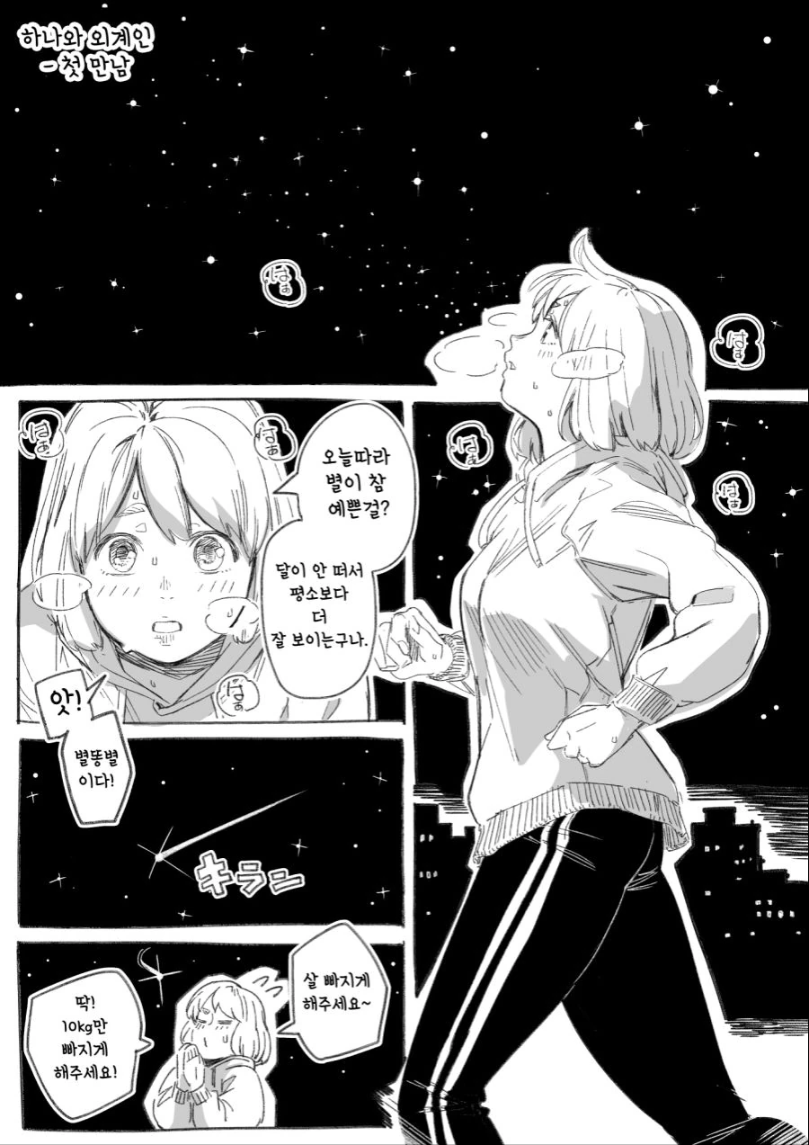 별똥별에 소원을 비는 만화.manga