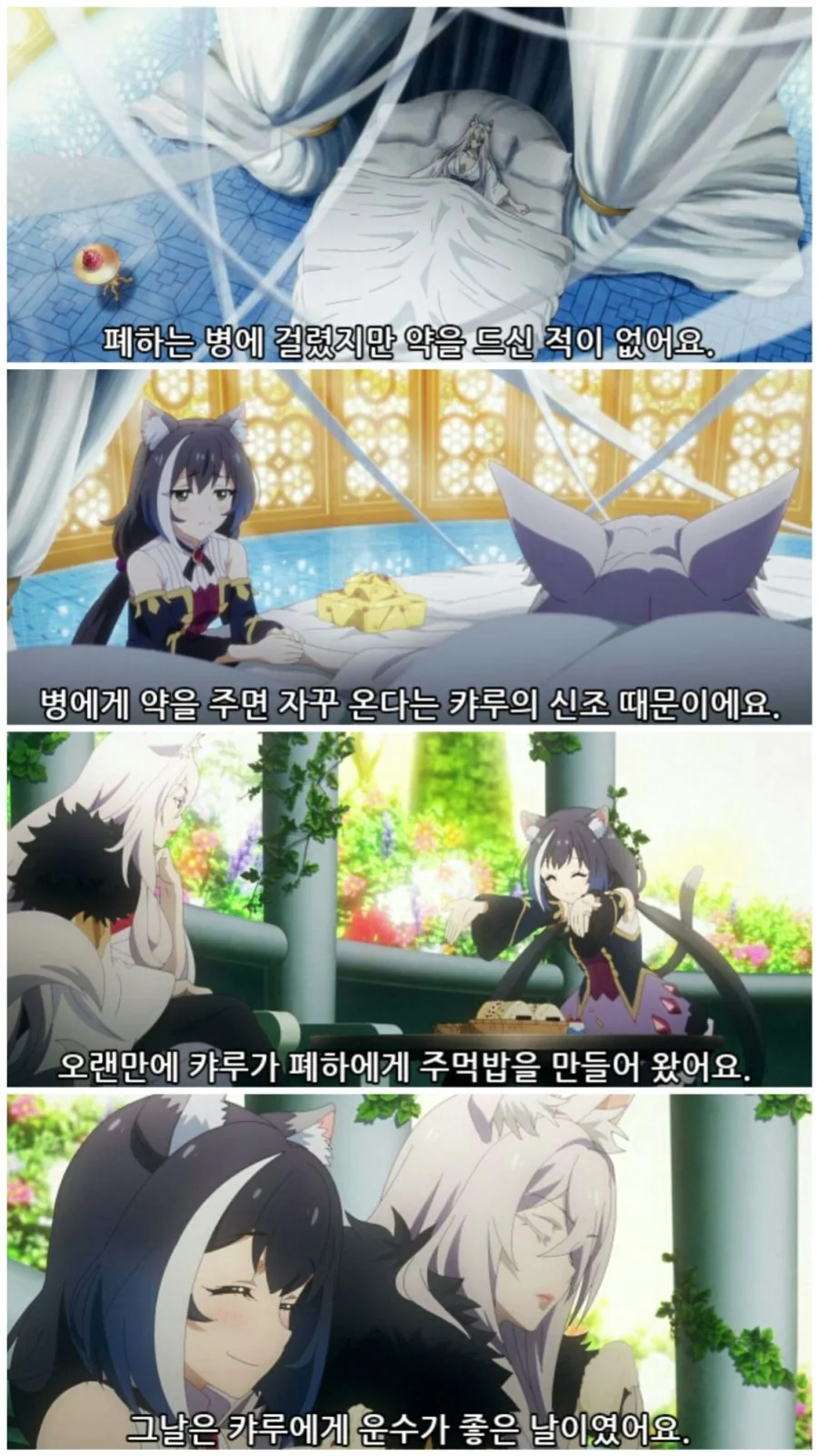 캬루는 폐하를 좋아합니다