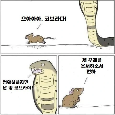 정확히 말하면 나는 킹 코브라야.manhwa