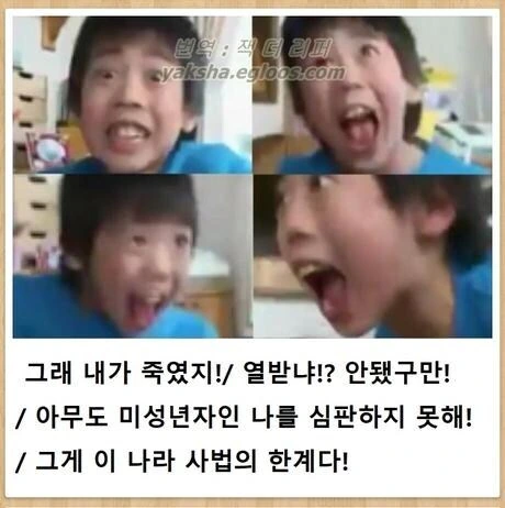 이 나라 사법의 한계다 짤의 원본
