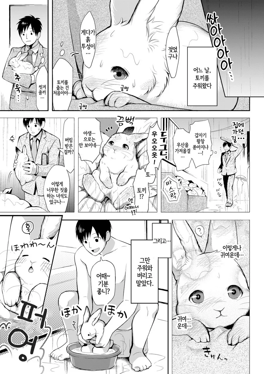 주워온 토끼 키우는.manga