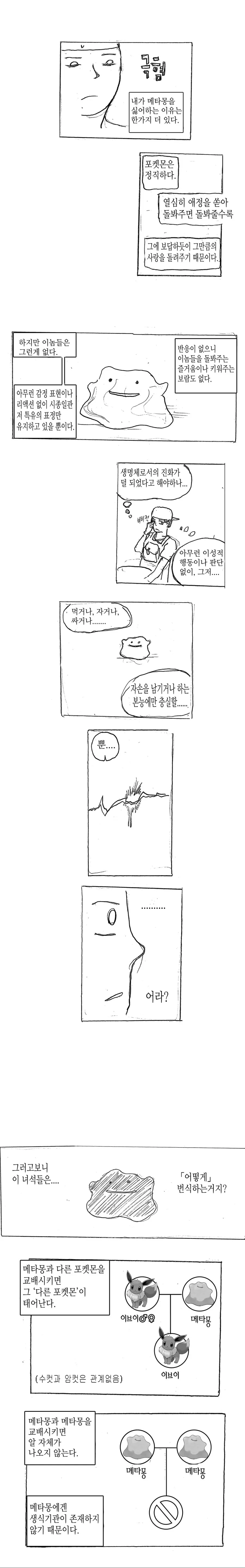 (스압)메타몽에 대한 고찰 만화 - 이미지 6