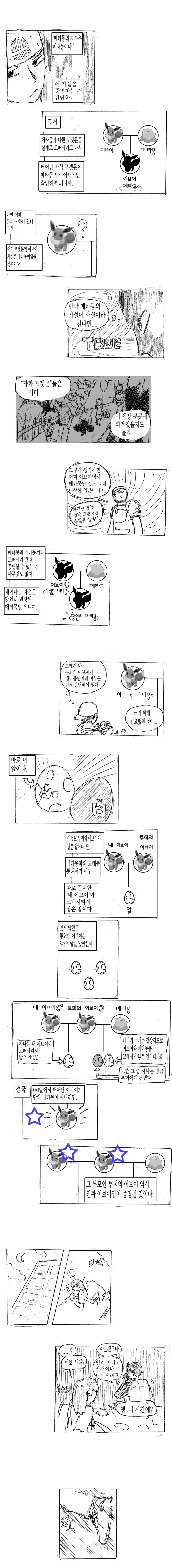 (스압)메타몽에 대한 고찰 만화 - 이미지 11