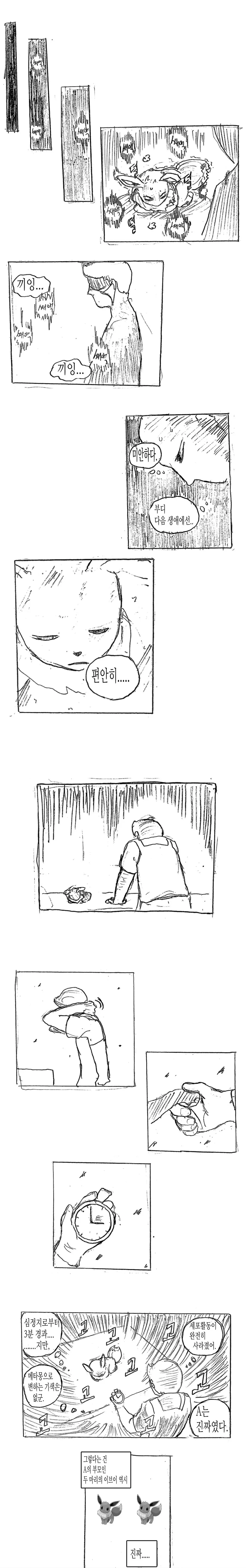 (스압)메타몽에 대한 고찰 만화 - 이미지 14