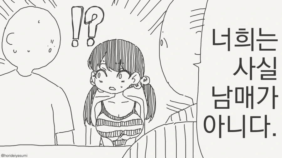 남매가 아닌 만화
