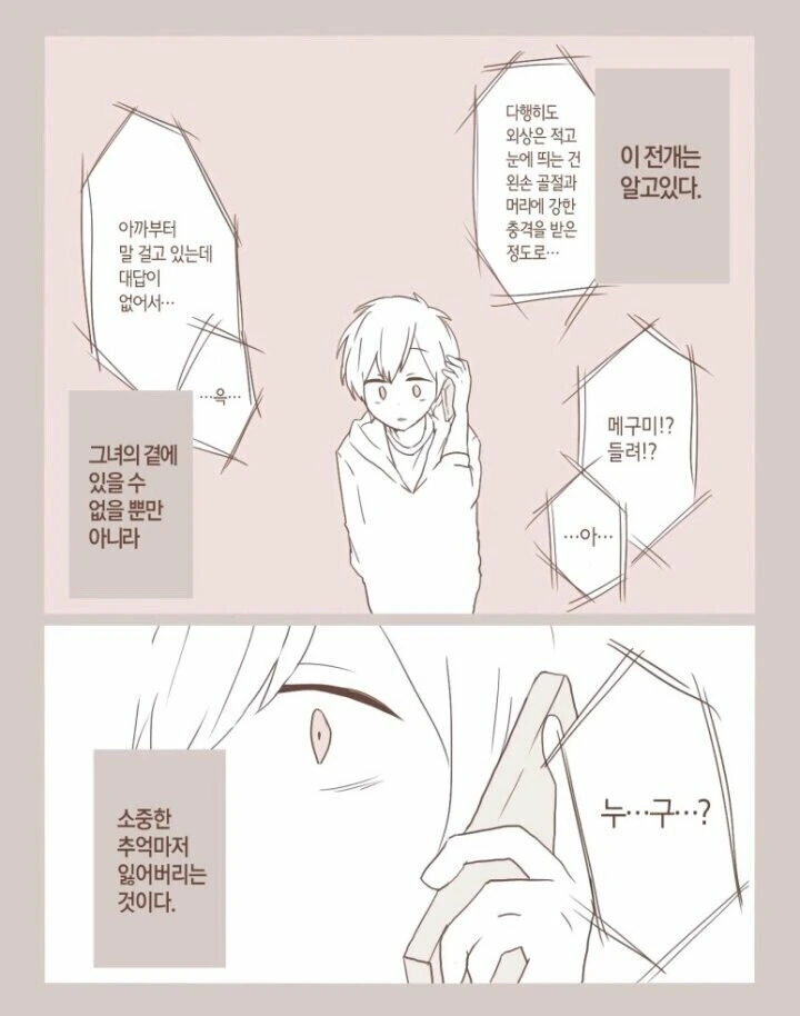 사랑했던 소녀가 기억을 잃어버린 만화 - 이미지 6