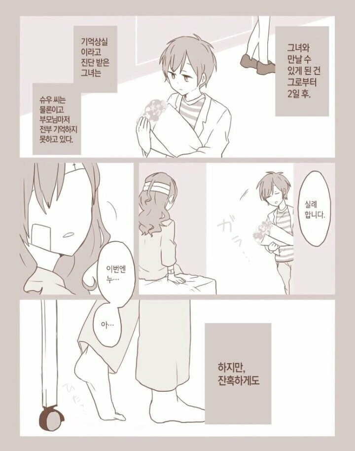 사랑했던 소녀가 기억을 잃어버린 만화 - 이미지 8