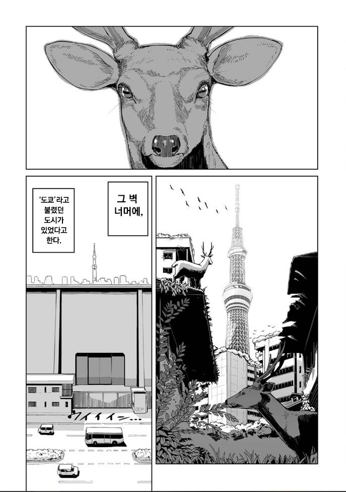 코로나 시국에 꽁냥대는 만화 3.manhwa