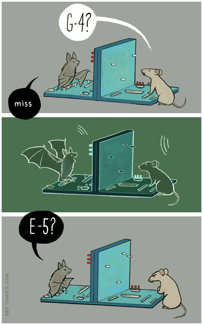 박쥐와 배틀쉽 게임을 하면 안 되는 이유 Comic