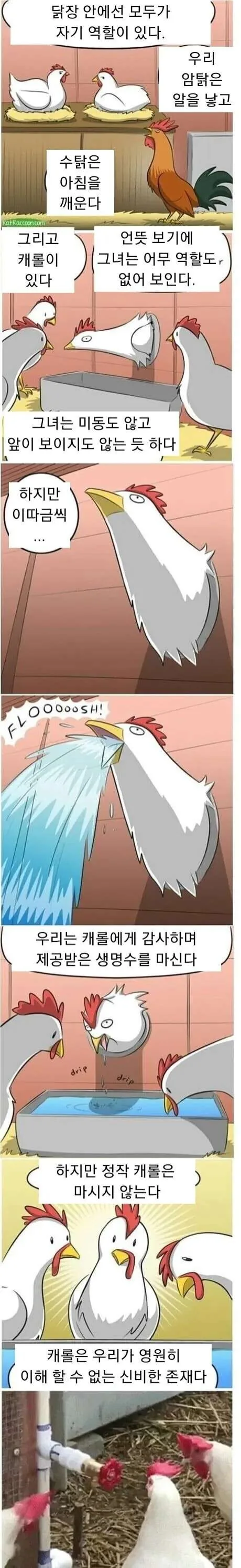 닭장 속 신비한 존재 캐롤 만화.manhwa