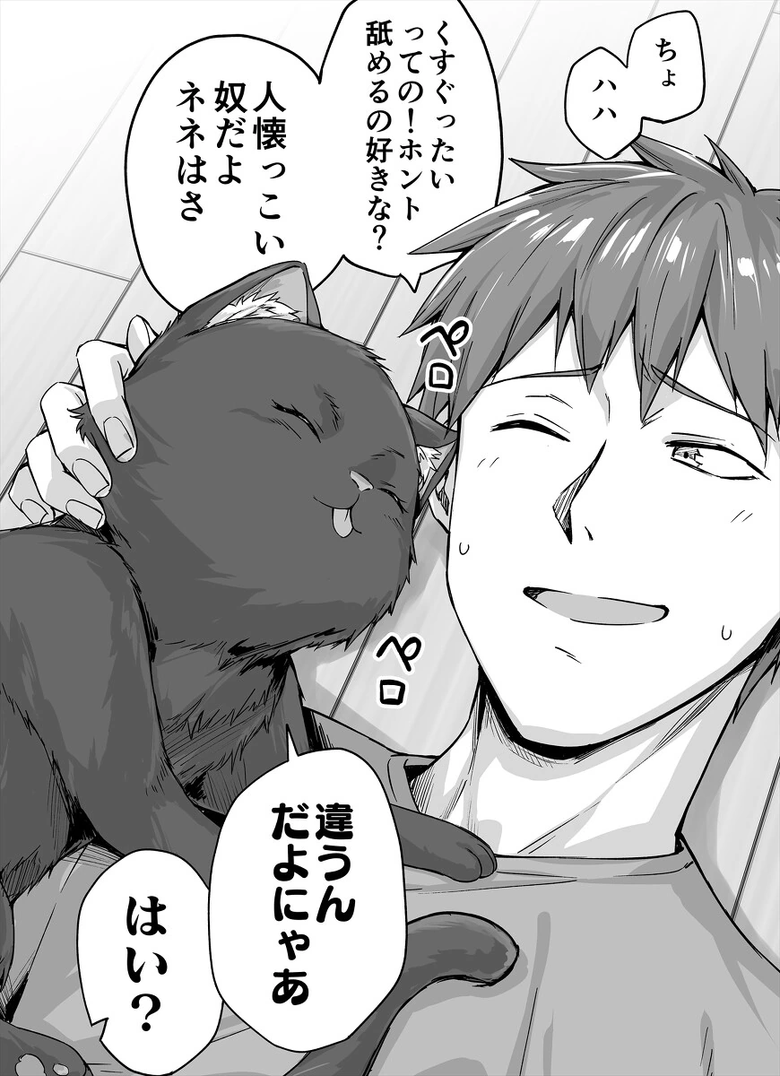 ㅎㅂ) 니트닌자 작가가 그린 고양이 모음집 - 이미지 3
