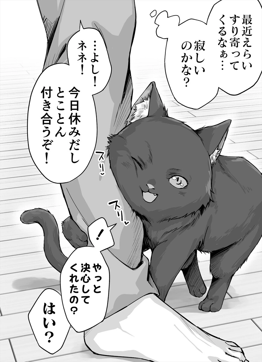 ㅎㅂ) 니트닌자 작가가 그린 고양이 모음집 - 이미지 4