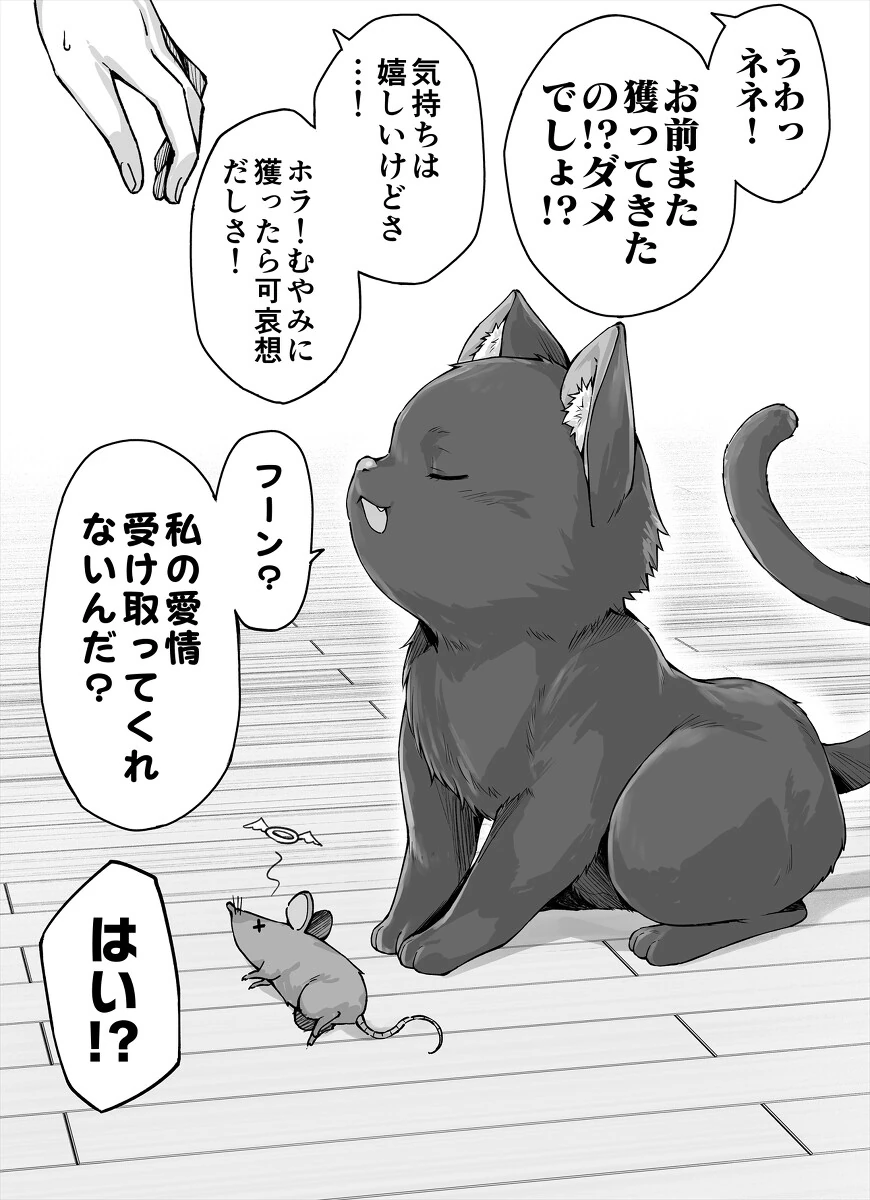 ㅎㅂ) 니트닌자 작가가 그린 고양이 모음집 - 이미지 8