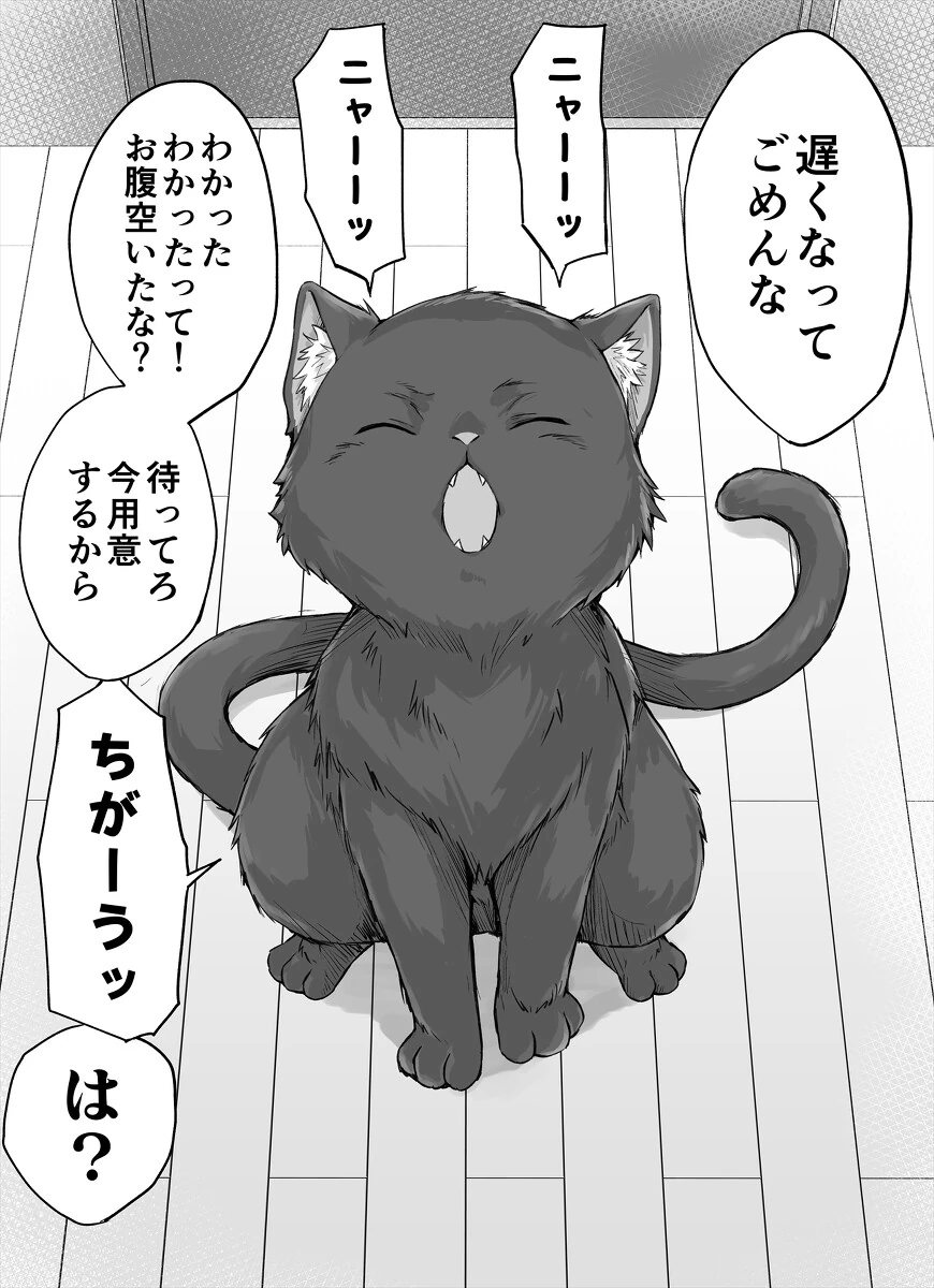 ㅎㅂ) 니트닌자 작가가 그린 고양이 모음집 - 이미지 9
