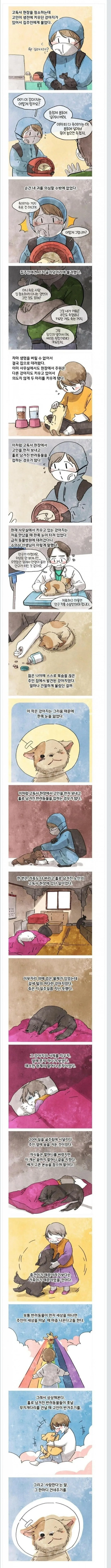 고독사 현장에서 발견된 강아지.manhwa
