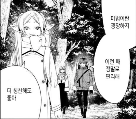 프리렌)ㄱㅅ을 ㄴㅊ하는 마법에 맞은 페른 - 이미지 6