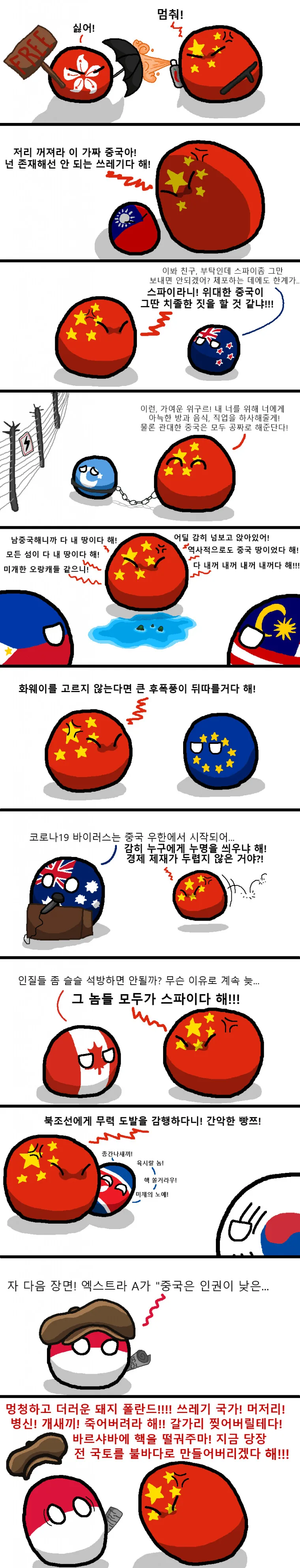 폴란드볼) 중국의 친구