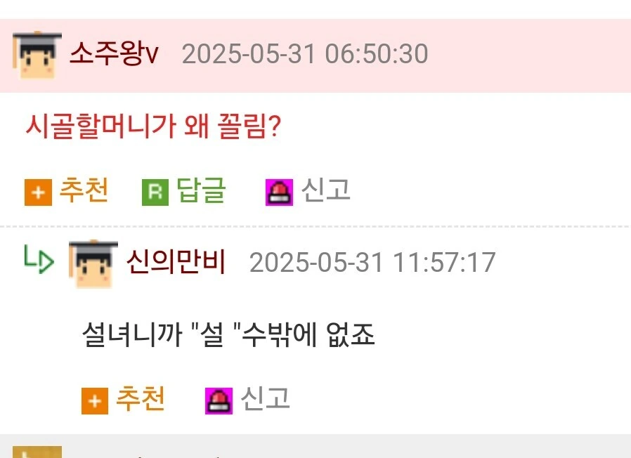 시골 할머니 만화 - 이미지 3