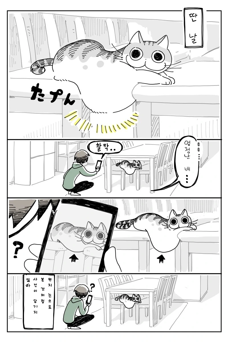 리얼한 고양이.manhwa - 이미지 3