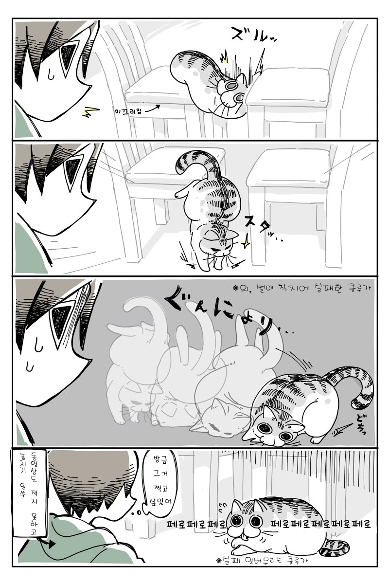 리얼한 고양이.manhwa - 이미지 4