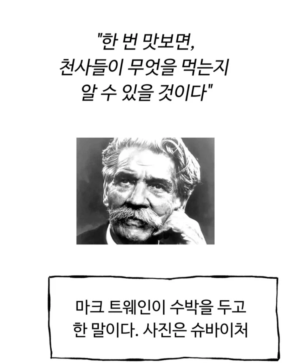건망고가 너무 위험한 만화