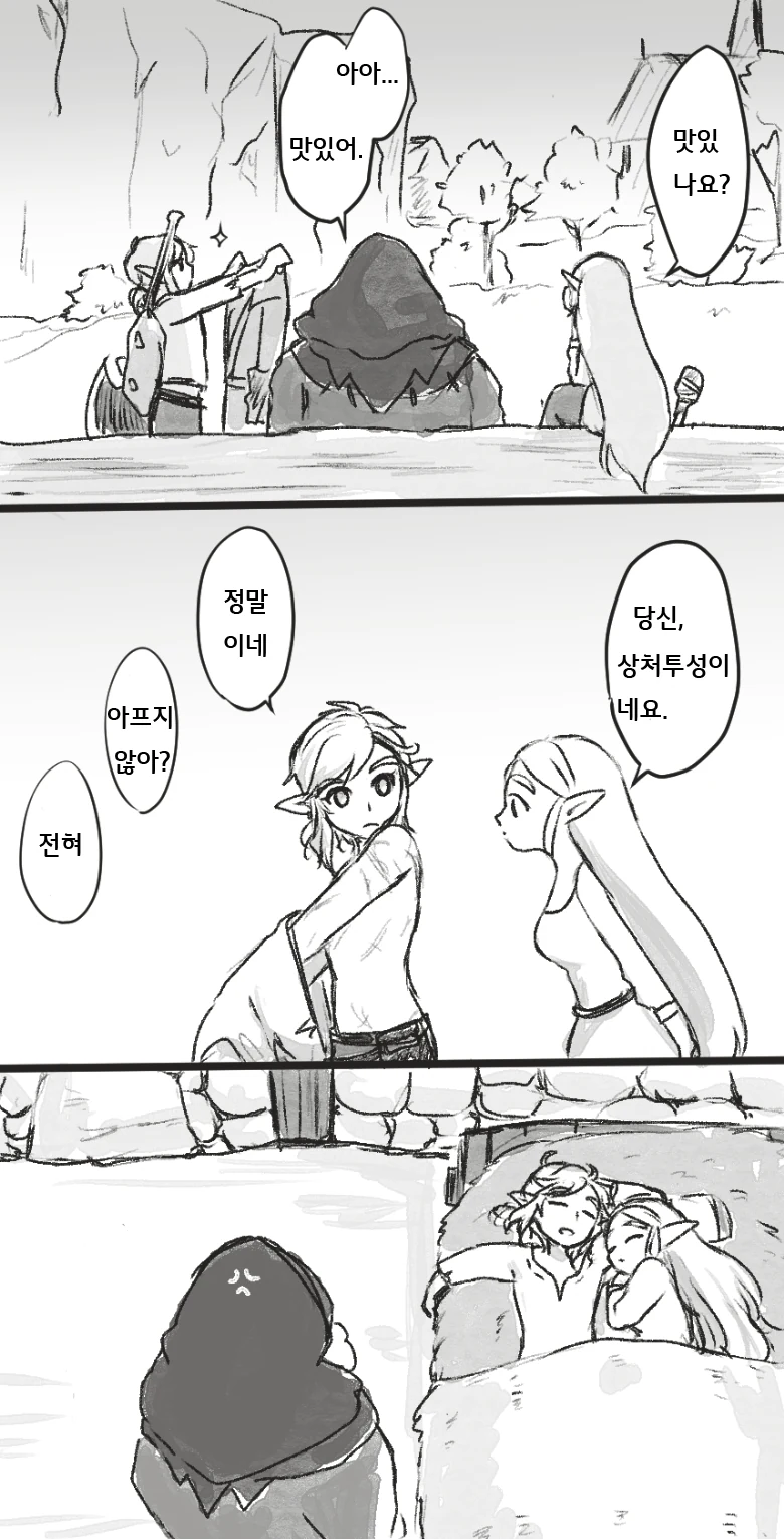[젤다] 만약 공주님이 함께 잠들었다면.Manga - 이미지 6