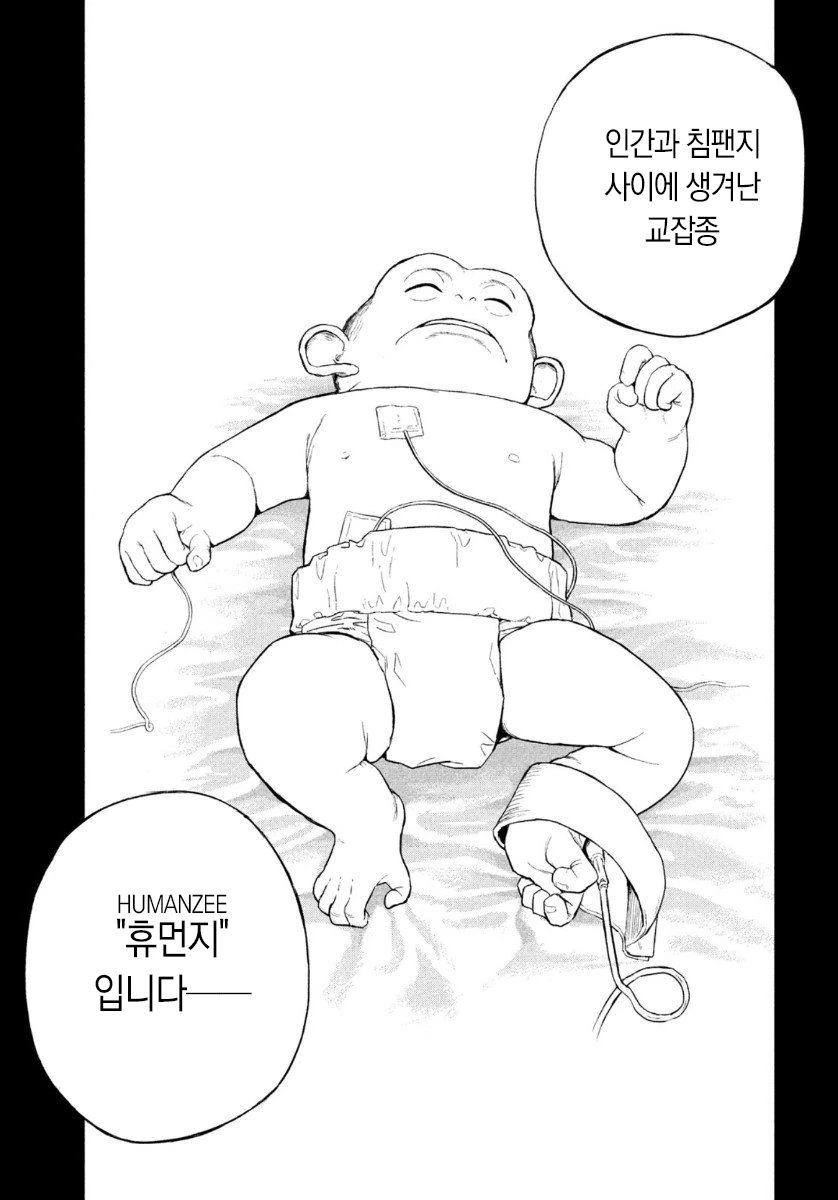 ㅇㅅ한 침팬지 구하는 manga - 이미지 9