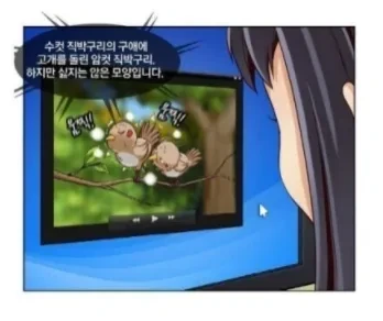 남친의 폴더를 훔쳐보는 만화 - 이미지 5