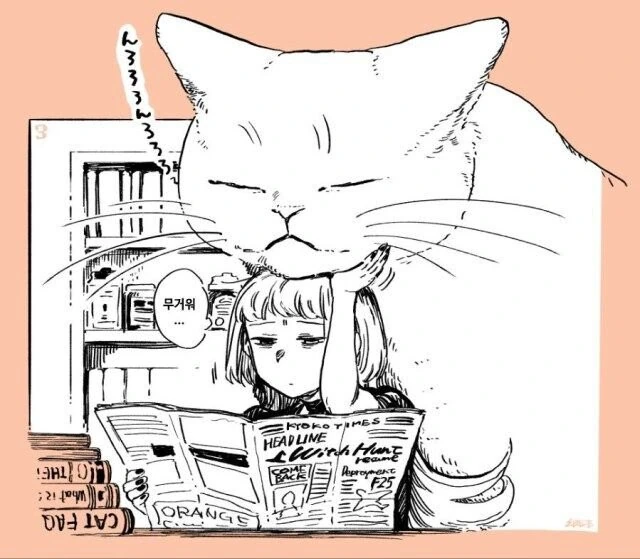 마녀가 고양이 주워서 키우는 만화 - 이미지 3