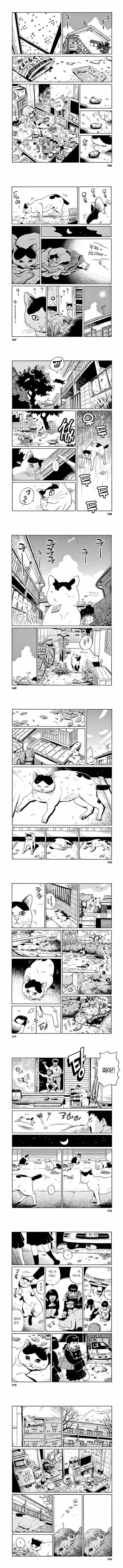 고독사와 남겨진 고양이 만화.manga - 이미지 2
