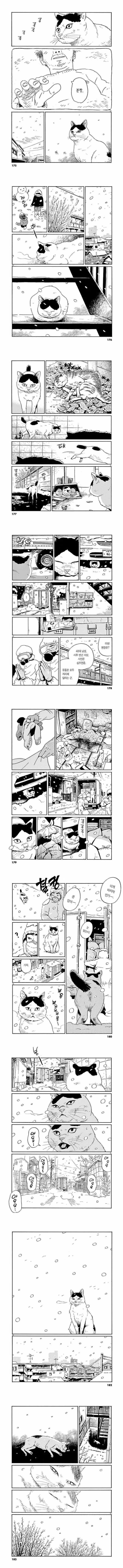 고독사와 남겨진 고양이 만화.manga - 이미지 3