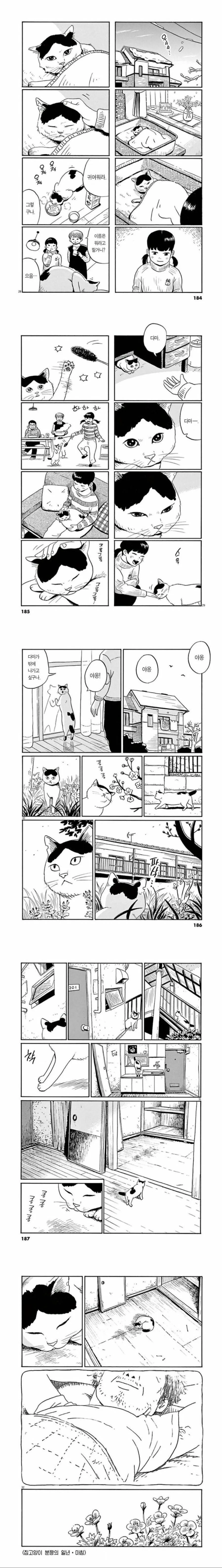 고독사와 남겨진 고양이 만화.manga - 이미지 4