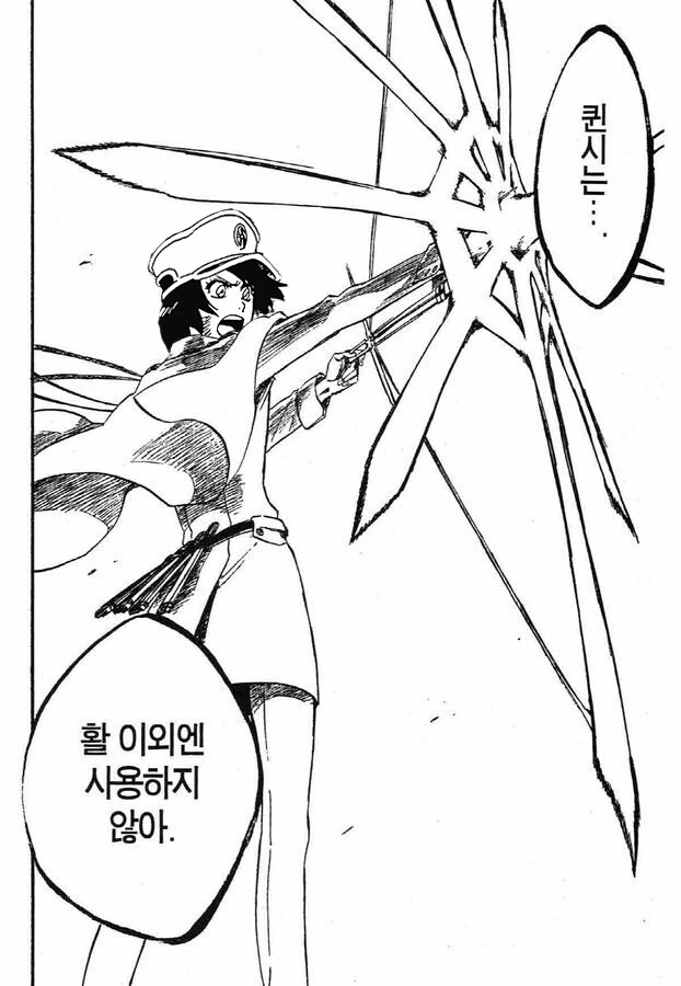 블리치) ???: 퀸시는..활 이외엔 사용하지 않아.