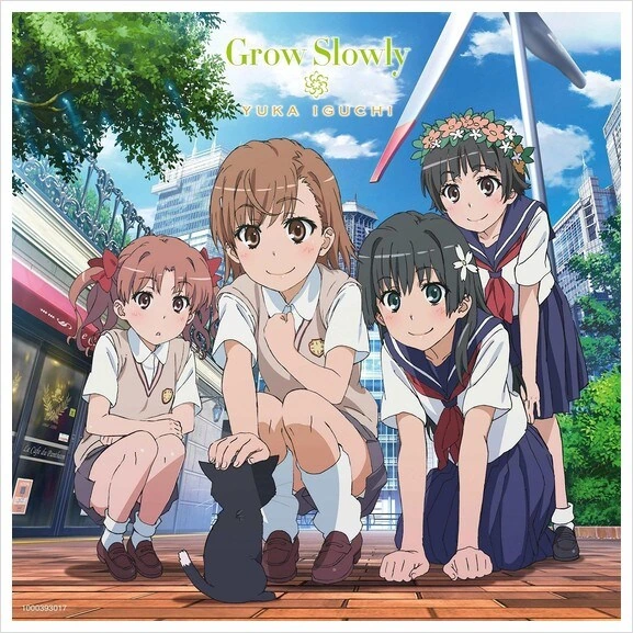 어떤 과학의 초전자포S - Grow Slowly