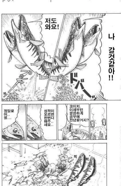 연어 ㅇㄹ 만화 - 이미지 4