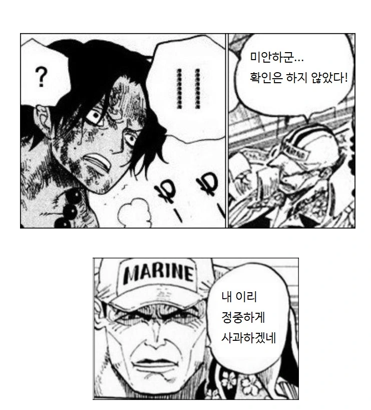 원피스) 아카이누의 사과를 받은 에이스 - 이미지 2
