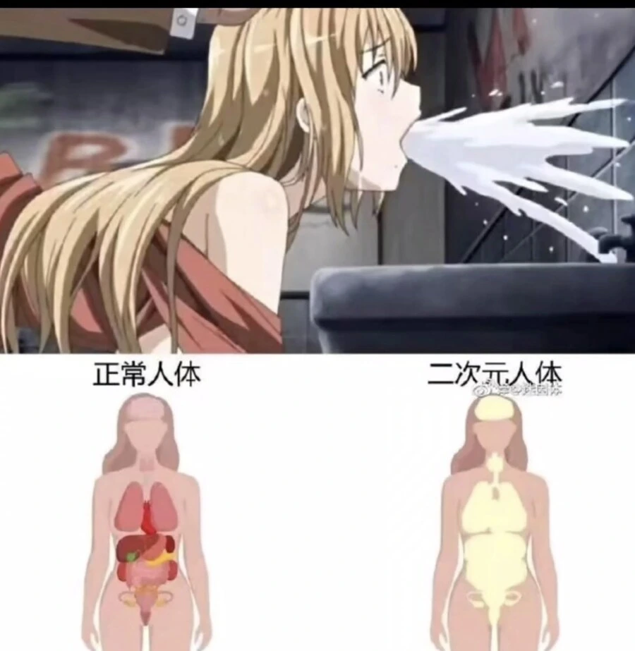 망가의 신체구조.jpg